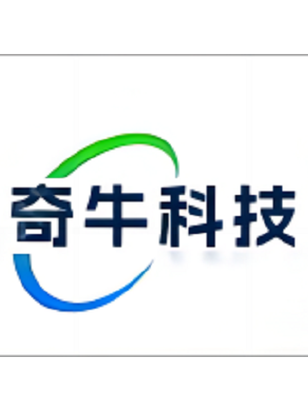 計(jì)算機(jī)系統(tǒng)服務(wù);信息技術(shù)咨詢服務(wù);人工智能應(yīng)用軟件開發(fā);技術(shù)服務(wù)