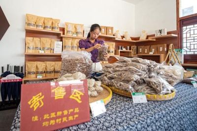 詩意田園“走”出深山，寄賣服務鋪就文化致富路